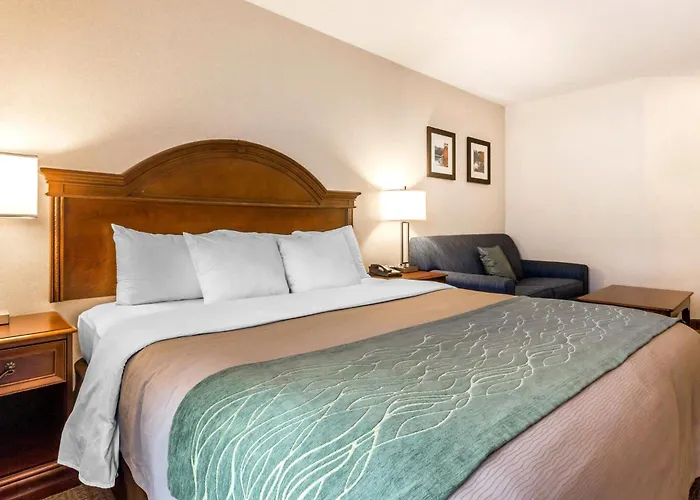 Comfort Inn & Suites